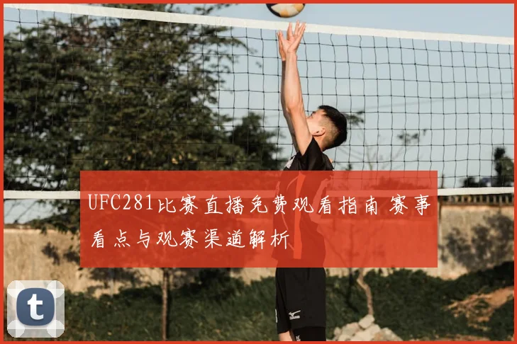 UFC281比赛直播免费观看指南 赛事看点与观赛渠道解析