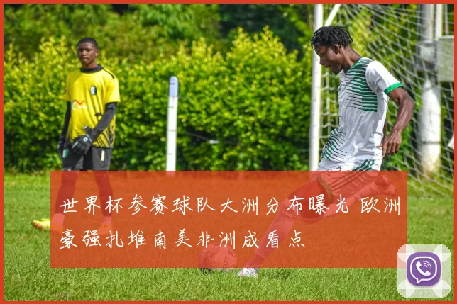 世界杯参赛球队大洲分布曝光 欧洲豪强扎堆南美非洲成看点