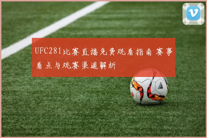 UFC281比赛直播免费观看指南 赛事看点与观赛渠道解析